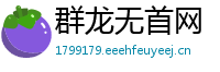 群龙无首网